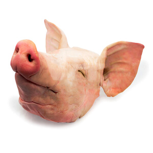 Schweinekopf zu verkaufen