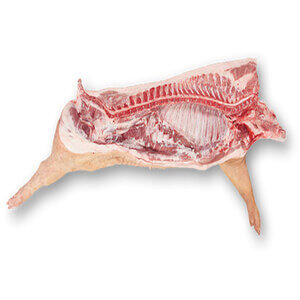 Pork  Carcass